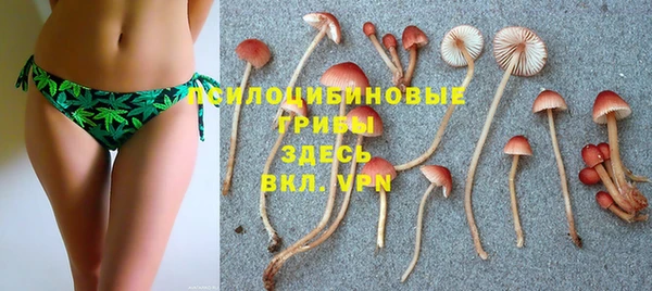 гашиш Дмитриев
