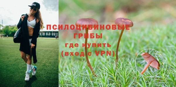 MDMA Premium VHQ Дмитровск